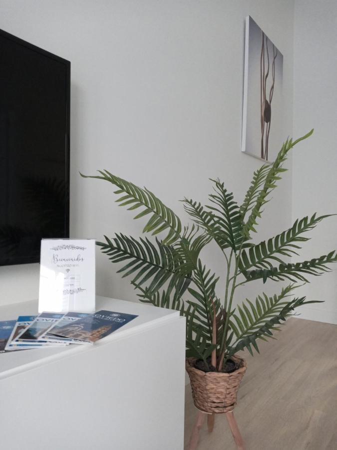 Apartamento a estrenar en ubicación inmejorable , con terraza y parking incluido Oviedo Exterior foto